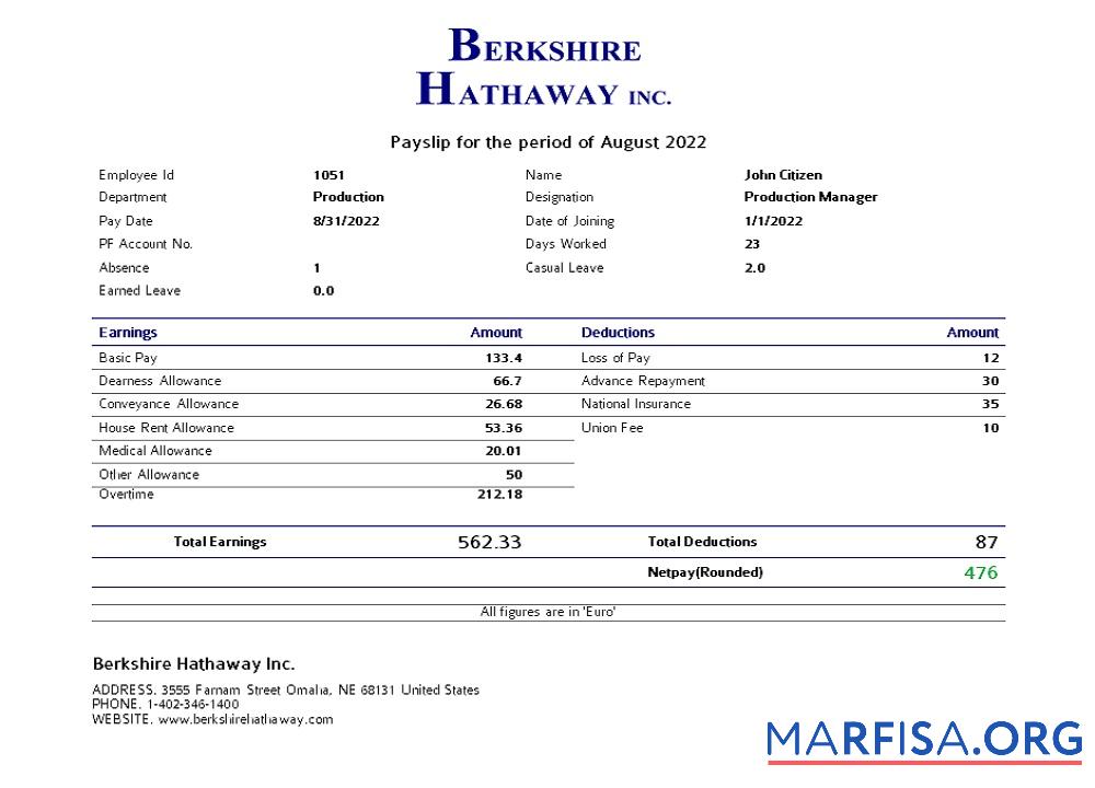 Blank USA Berkshire Hathaway conglomerate company sample